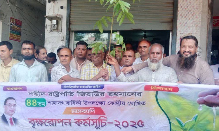 নওগাঁর ধামইরহাটে বনজ চারা বিতরণ কর্মসূচি 
