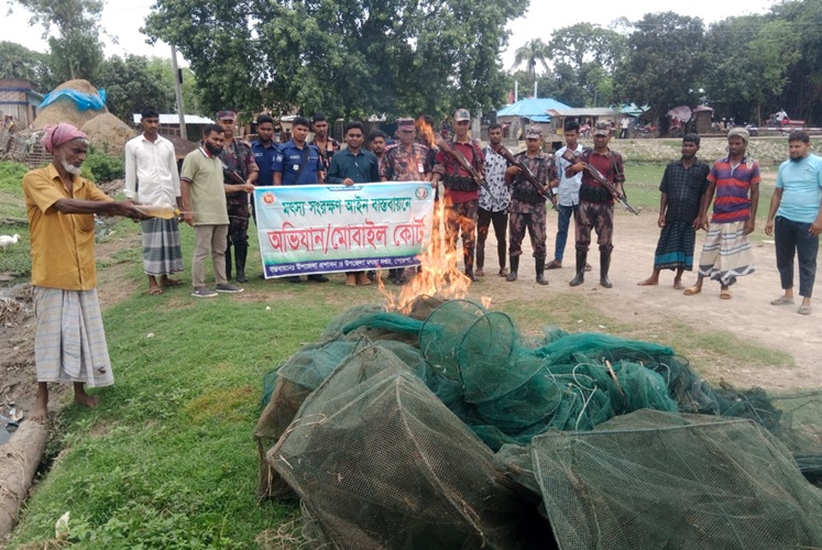 পূনর্ভবা নদীতে অবৈধ রিং জাল জব্দ