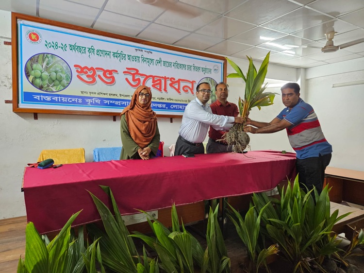লোহাগড়ায় ৫'শ কৃষক পেল নারকেলের চারা 