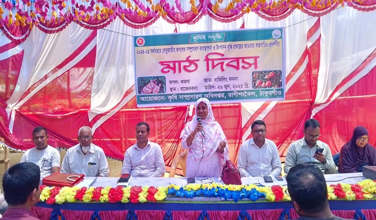 রাণীশংকৈলে কৃষক মাঠ দিবস পালিত