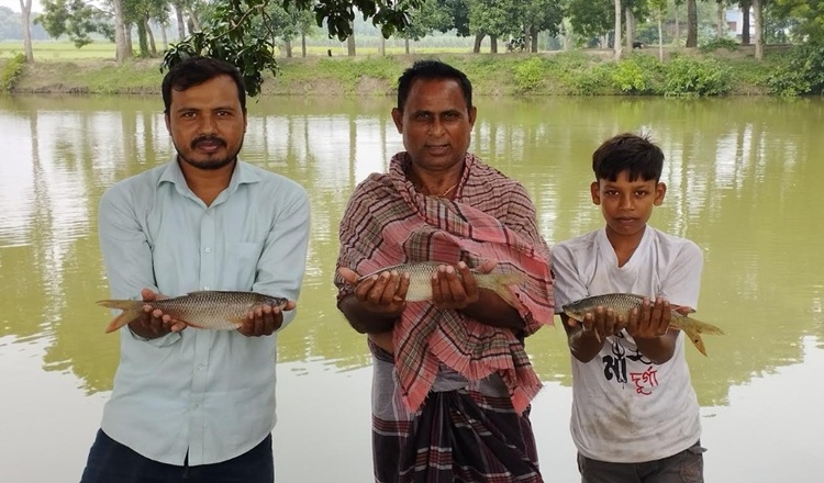 জি-৩ রুই মাছ চাষ নতুন সম্ভাবনার হাতছানি