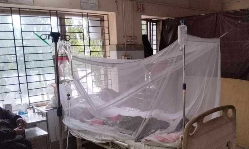 ডেঙ্গুতে আরও ২ জনের মৃত্যু 