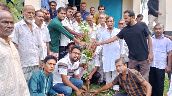 কালিহাতীতে কৃষকদলের বৃক্ষরোপণ 