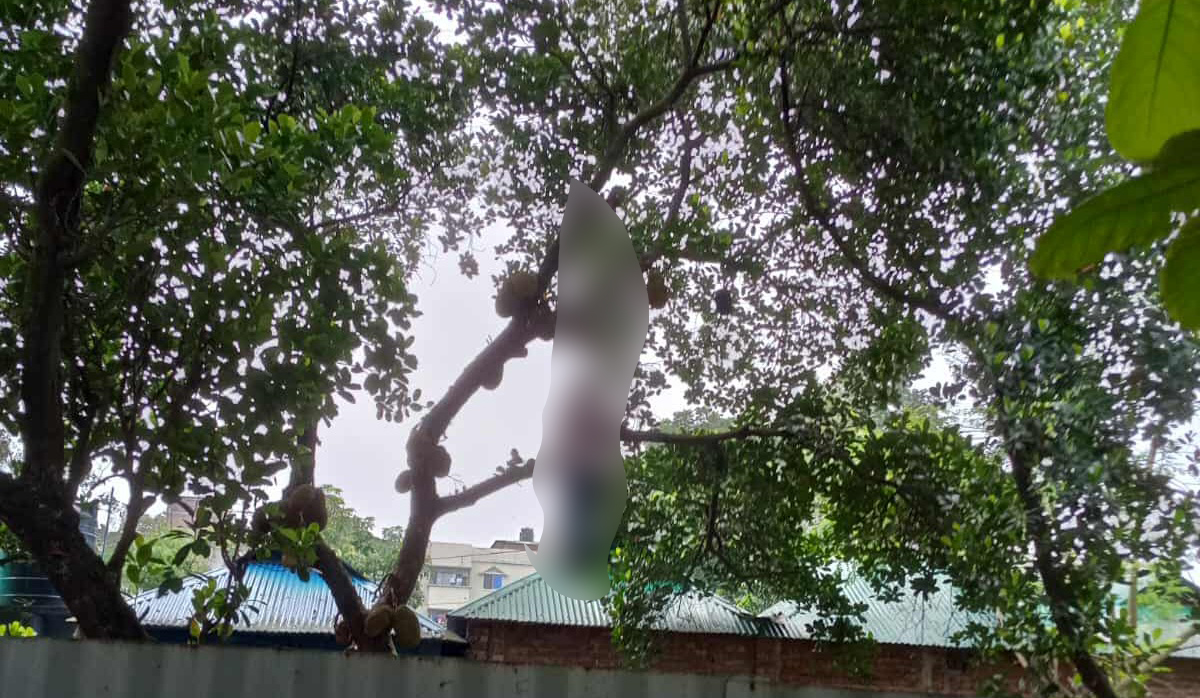 কাঁঠাল গাছের মগডালে ঝুলেছিল যুবকের মরদেহ