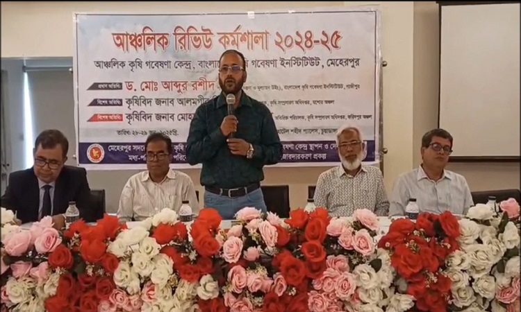 চুয়াডাঙ্গায় গবেষণা কার্যক্রম প্রকল্পের আঞ্চলিক রিভিউ কর্মশালা