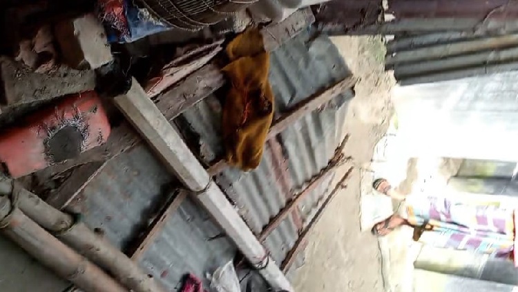 পাওনা টাকা চাওয়ায় পত্রিকা পরিবেশকের বোনকে পিটুনি!