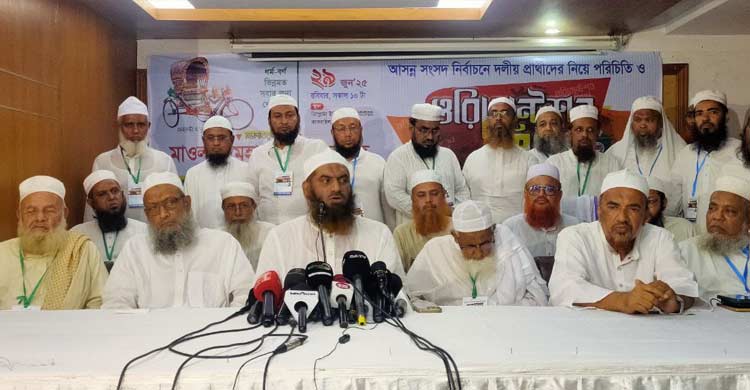 ৩০০ আসনে প্রার্থী দেবে খেলাফত মজলিস : মামুনুল হক