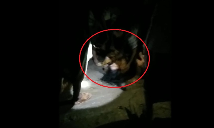 দিনদুপুরে নারীর হাত-পা বেঁধে অপহরণ, ভিডিও ভাইরাল
