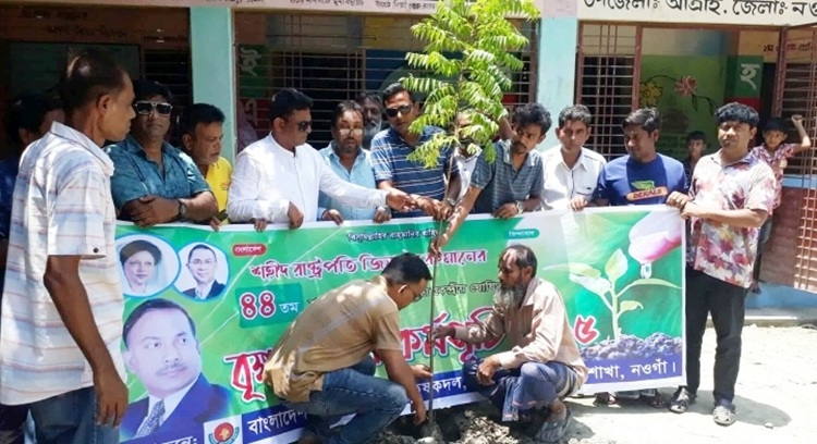আত্রাইয়ে শহীদ জিয়াউর রহমানের শাহাদাৎ বার্ষিকী উপলক্ষে কৃষকদলের বৃক্ষরোপণ
