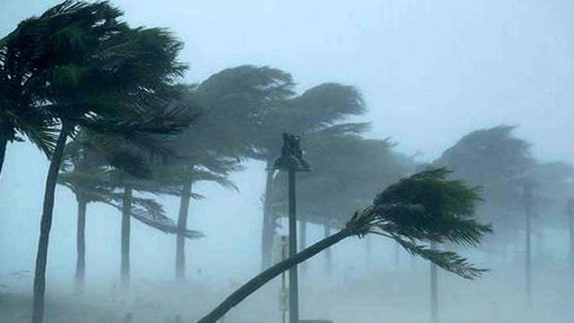 দুপুরের মধ্যে যেসব জেলায় ঝড়ের শঙ্কা