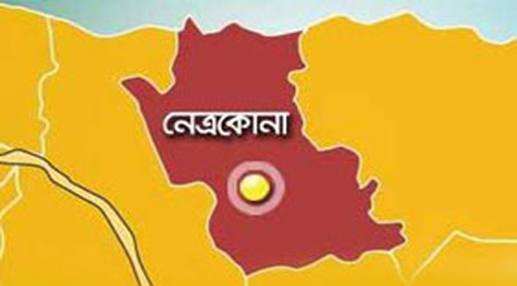 আটপাড়ায় গাছ কাটার অভিযোগ ভিত্তিহীন: বিএনপি নেতার প্রতিবাদ
