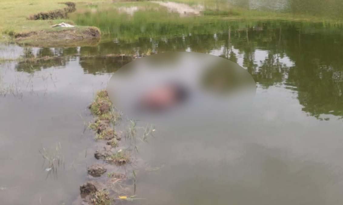 রাণীশংকৈলে অর্ধগলিত অজ্ঞাত ব্যক্তির লাশ উদ্ধার 