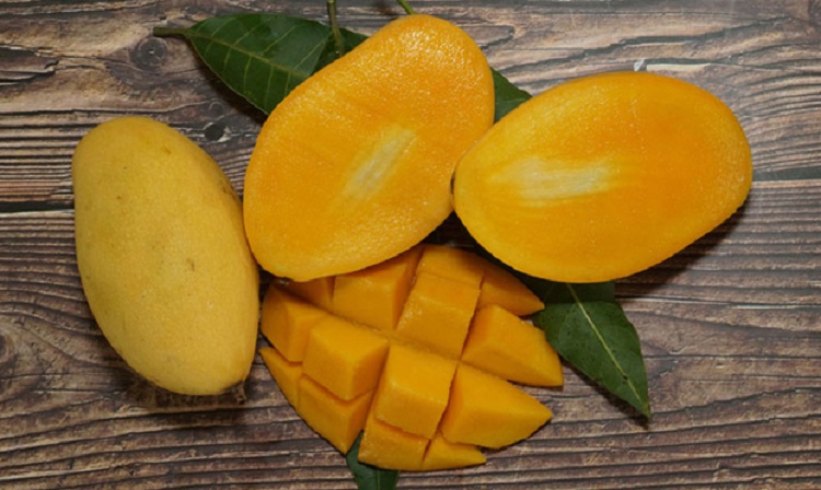 আমের আঁটির যত গুণ