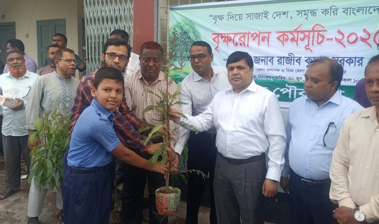 পরিবেশ ও প্রকৃতির ভারসাম্য রক্ষায় গাছ রোপণ জরুরি
