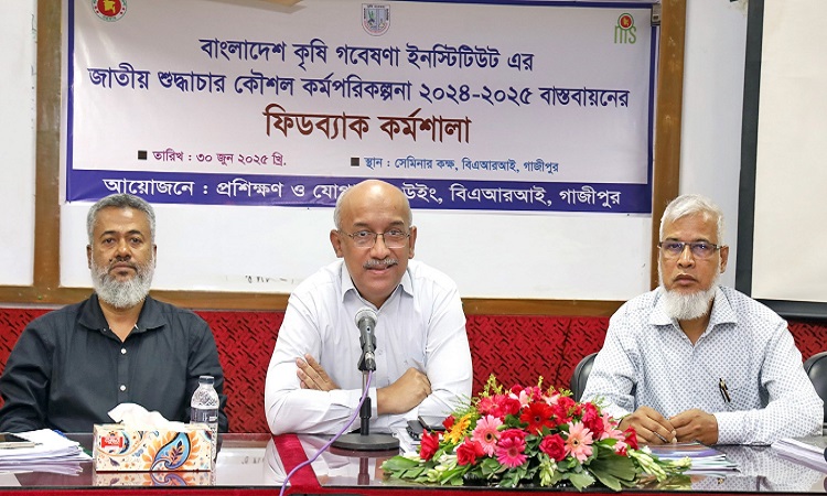 বারিতে জাতীয় শুদ্ধাচার কৌশল শীর্ষক কর্মশালা