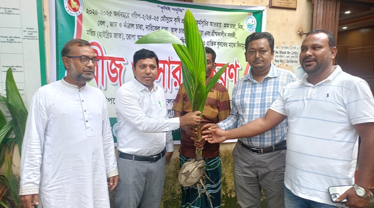 সরাইলে বীজ, সার ও নারিকেল চারা বিতরণ