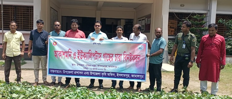 ইসলামপুরে পরিবেশ বিধ্বংসী ইউক্যালিপটাস ও আকাশমনি গাছের চারা ধ্বংস করলেন ইউএনও