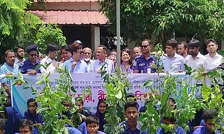 পরিবেশ রক্ষায় গাছ রোপণের কোনো বিকল্প নেই