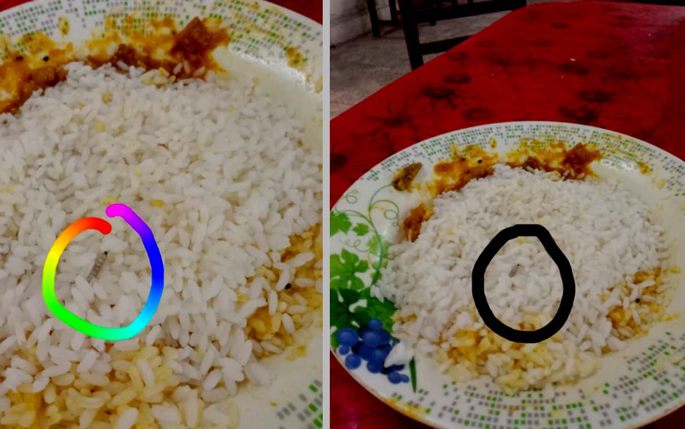 বেরোবির হলের ডাইনিংয়ের খাবারে পোকা, শিক্ষার্থীদের ক্ষোভ