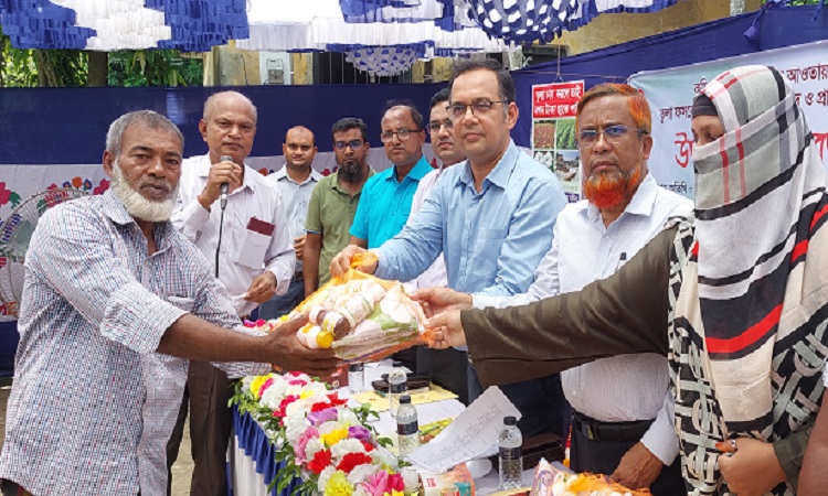 চুয়াডাঙ্গায় তুলা ফসলের আবাদ বাড়াতে প্রণোদনার উপকরণ বিতরণ