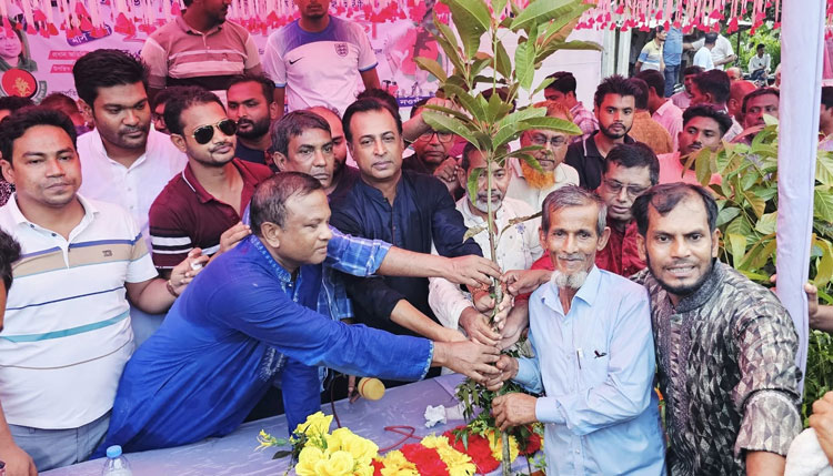 মান্দায় কৃষকদলের মাসব্যাপী সবুজায়ন র্কমসূচি