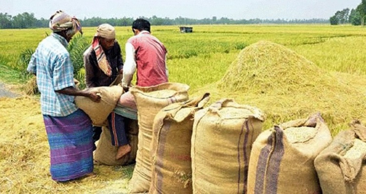 কক্সবাজারে বোরো ধান-চাল সংগ্রহ লক্ষ্যমাত্রা ১০ হাজার মেট্রিক টন