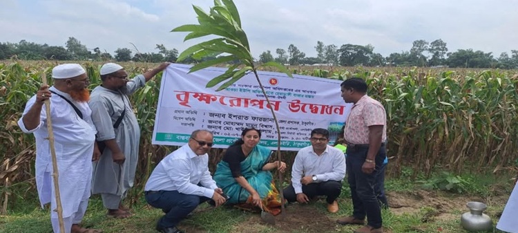 ঠাকুরগাঁওয়ে ৩ দিনব্যাপী বৃক্ষরোপণ কার্যক্রম