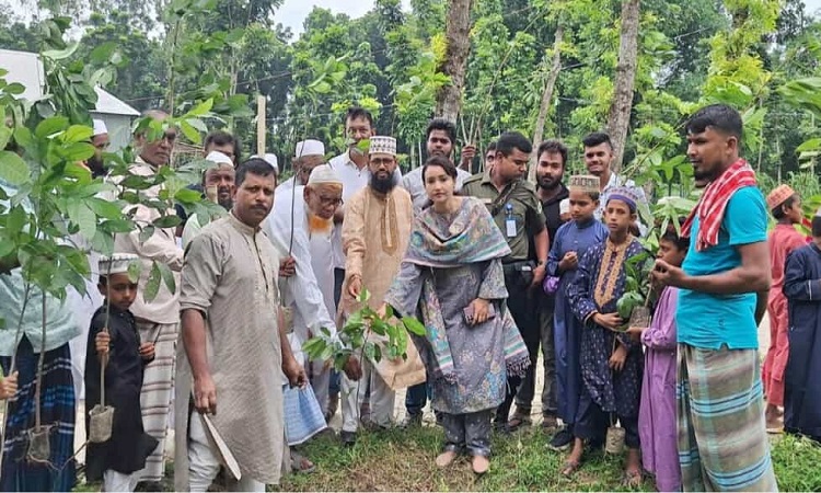 পরিবেশের ভারসাম্য রক্ষায় বৃক্ষরোপণ কর্মসূচি
