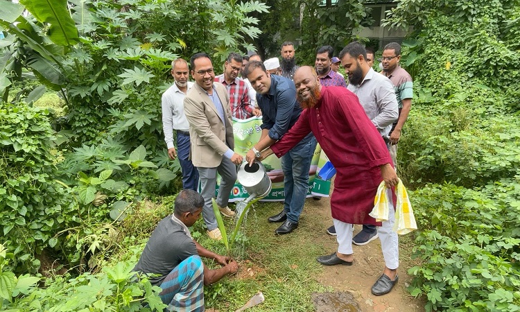 মধুপুরে সৌন্দর্য ও পরিবেশের ভারসাম্য রক্ষায় বৃক্ষরোপণ 