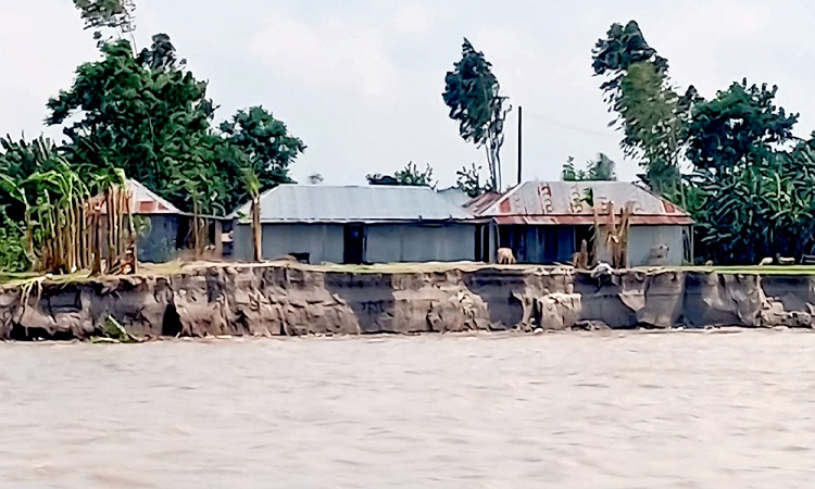 সাঘাটার গুয়াবাড়ী স. প্রা. বিদ্যালয় যেন ‘ভ্রাম্যমাণ পাঠশালা’!