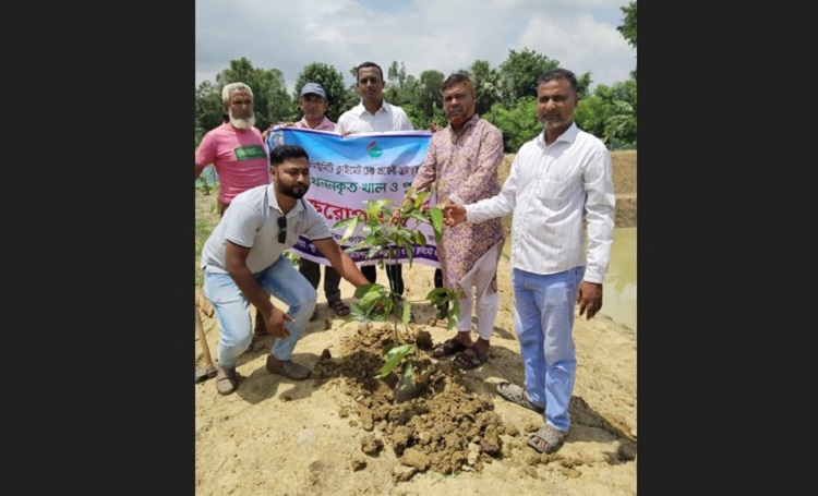 ধামইরহাটে জাকস ফাউন্ডেশনের বৃক্ষরোপণ