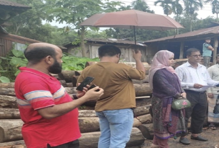 নাইক্ষ্যংছড়িতে টাস্কফোর্স অভিযানে সেগুন কাঠ জব্দ, অর্থদণ্ড