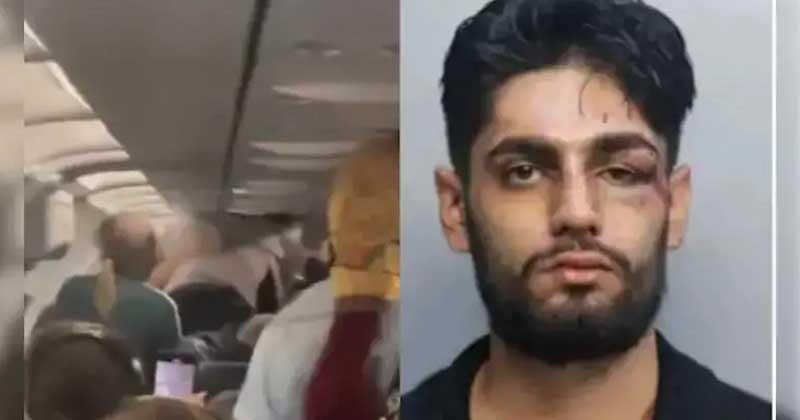 ফ্লাইটে ধস্তাধস্তির ভিডিও ভাইরাল, ভারতীয় বংশোদ্ভূত যুবক গ্রেপ্তার