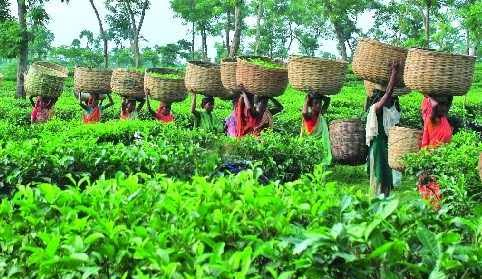 উপকারভোগীর তালিকায় অনিয়ম ও অর্থ আত্মসাতের অভিযোগ