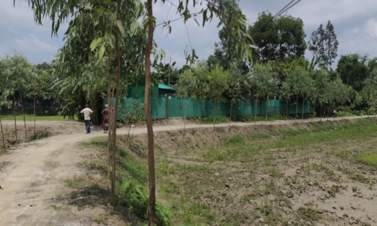 অবশেষে নির্মিত হলো বহুল প্রত্যাশিত রাস্তা