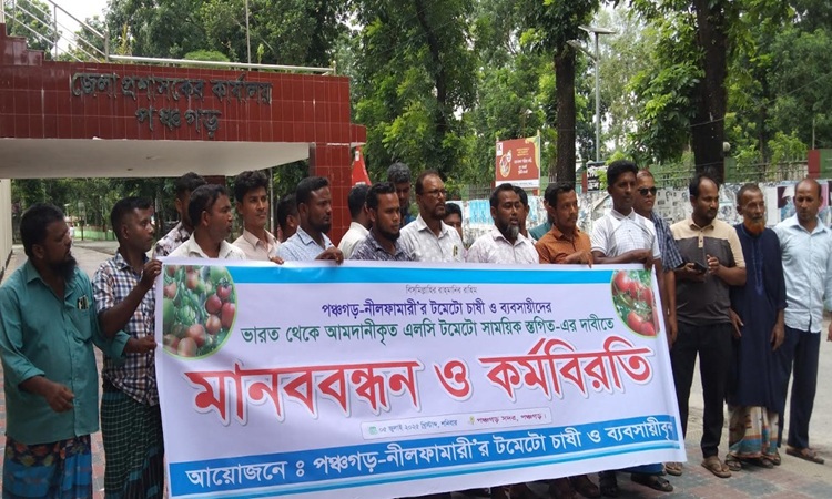 পঞ্চগড়ে টমেটো চাষী ও ব্যবসায়ীদের মানববন্ধন
