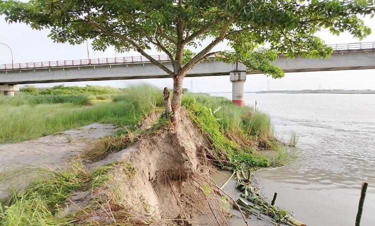শিবচরে আড়িয়াল খাঁ নদে ভাঙন, হুমকিতে ৯৭ কোটির সেতু