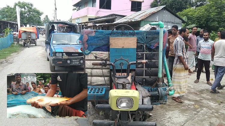 আটঘরিয়ায় প্রভাবশালীর বিরুদ্ধে মাছ চুরির অভিযোগ  আটঘরিয়া (পাবনা) প্রতিনিধি