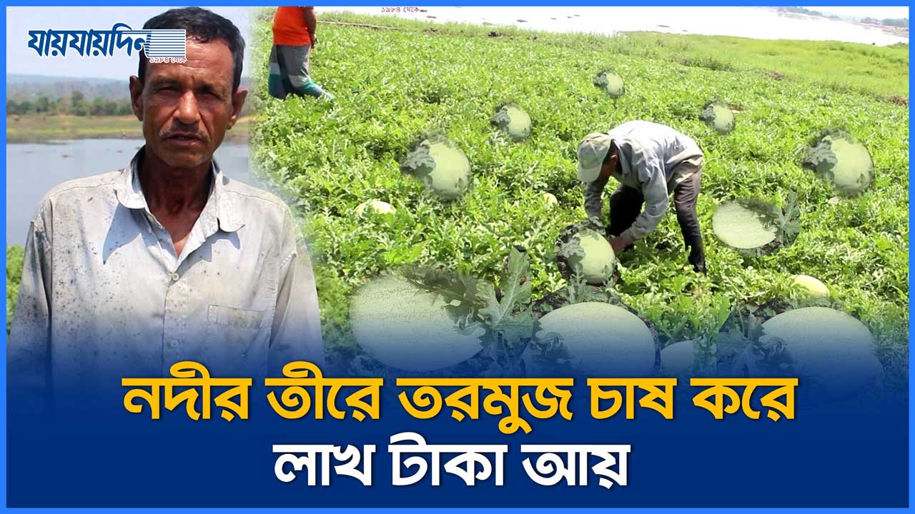 লাখ টাকায় তরমুজ বিক্রি হওয়ায় খুশি চাষী