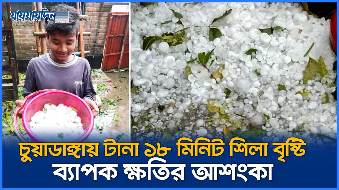 চুয়াডাঙ্গায় টানা ১৮ মিনিটের শিলা বৃষ্টি, ব্যাপক ক্ষতির আশংকা