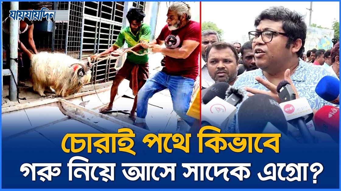 চোরাই পথে কিভাবে এত গরু নিয়ে আসে সাদেক এগ্রো?