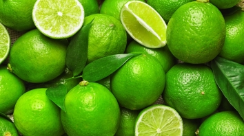 রমজানে সেঞ্চুরি করা লেবুর হালি এখন ৮ টাকা