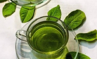 অসাধারণ গুণ পেয়ারা পাতার চায়ের