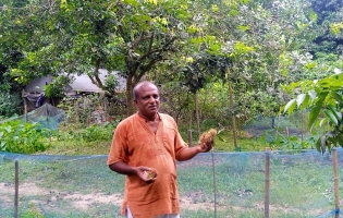 আখাউড়ায় রামবুটান ফলে লাভবান প্রবাস ফেরত রাজু মোল্লা